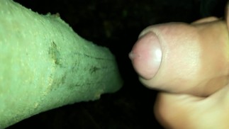 我在“巡航暨树”上添加了我的精液（特写射精）