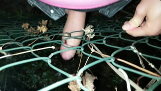 中东 twink 通过栅栏射精 - 他在户外操栅栏！！