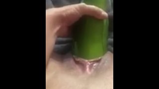 Stretching my whore pussy with a HUGE zucchini for daddy
