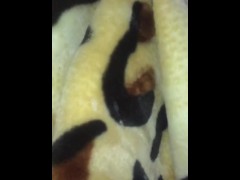 A soft mink blanket tickles a guy's eggs and he cums on naked cumshot