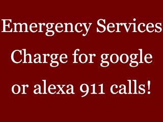 emergency services, google, emergency, echo dot