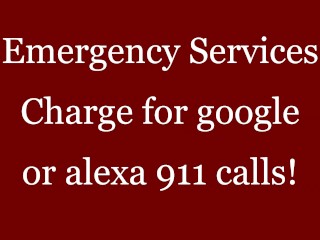 Emergency Services Charge for Google or Alexa 911 Calls