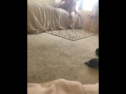 Preview 2 of Caught fucking wifes sister