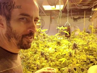 Nude  Gardening with Freak77Show Grow Tips Episode 1 Leaf Picking