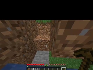 Nothing but minecraft wholesome house building