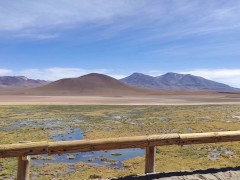 Last Porn on Atacama Desert! Porn Vlog 3 - Amateur Dread Hot