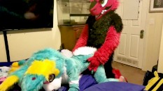 Fursuit Girls