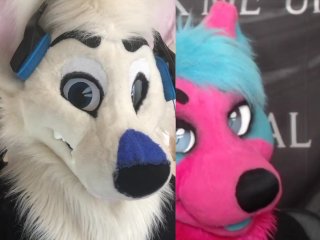 furry, educational series, exclusive, fetish