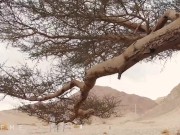 PUBLIC TEEN SEX IN THE DESERT - ISEEME 4K 60FPS