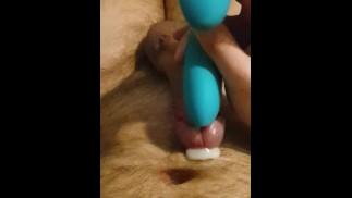 Edging the tip of my penis with vibrator and cumming handsfree (ruined)