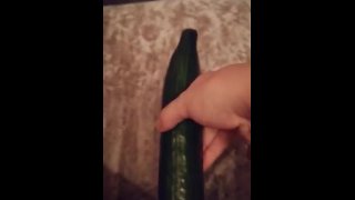 Follar pepino 