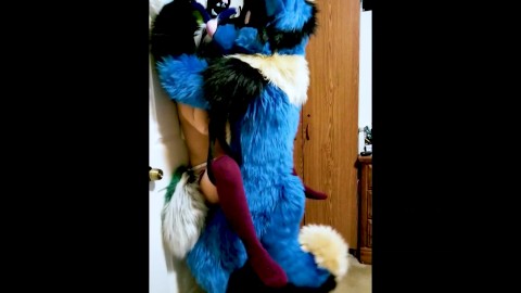 Real Furry Sex Orgy - Brff Murrsuit Party / orgy breeding and all kinds of furry sex - /