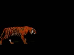 JayLaInc . Com (Google JayLa Inc)