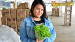 Плейлист Миниатюра 86285881-1