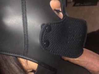 Submissive Cuckold Wife has to Suck Cock
