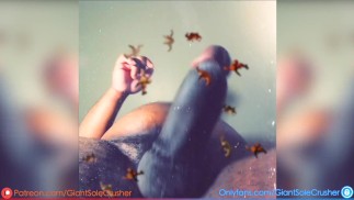 Splash & Bash *Превью*