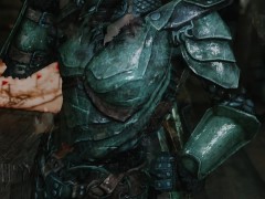 天际 兽人女英雄跟养子的性爱游戏 - Screenshot 2 of 16 - Skyrim