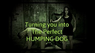 Making You Into The Ideal Canine Hump