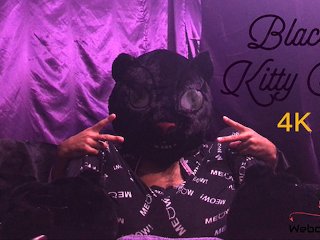 Black Kitty Cat (4K)