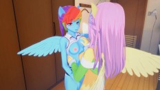 pony