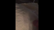 Amateur Vids