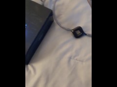 Vedo hummer short demonstration