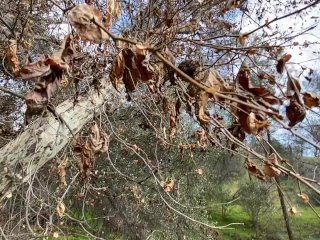 Long Cock Hiking Around Wilderness COMPLETELY NAKED_POV HD