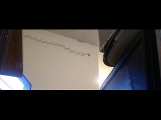 LilMissDani and the little black dress