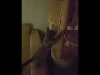 Cute young pussy first time