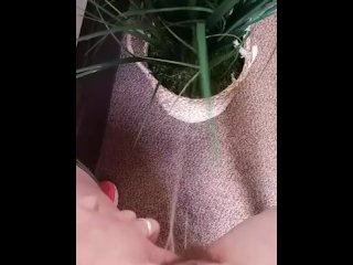Plant piss