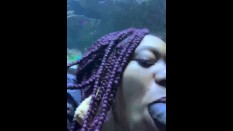 Thot pt2