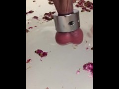 Low Hanging Balls Ballstretching Scrolicious Testicles Bath Sex