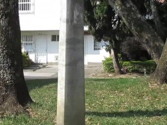 in the park