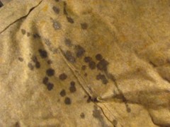 B.B.B. preview: Chocolate "Pre-Cum Ooze & LegJob"(cum only) AVI no slomo