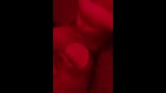 Miniatura da Playlist 111534791-1