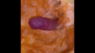 FAT BEAR AND MY UNCUT COCK COMPILATION BREEDING TWO PUMPKINS