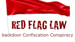 Red leyes de banderas conspiración de confiscación de puerta trasera