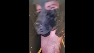 Sc Puppy 凯尔巴特勒吃自己的烂摊子