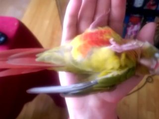 revanchist thoughts become mine