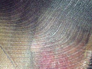 Сняла видео в колготках