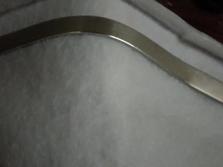 Coronavirus Chronicles Volume 1: Toilet Paper Edition