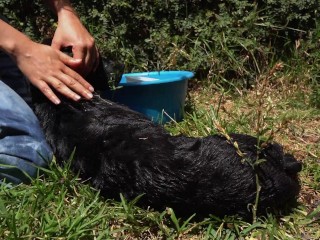 Naughty Bitch Gets all Wet and Enjoy herself