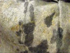 B.B.B. preview: Selen "Fetish & Sunglasses part 1"(cum only) WMV with slomo