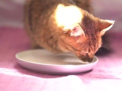 Ester Exposito FAVORITE's Georgeous Pussy Loves to Swallow it ALL