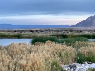 Homeless to Pornstars Part 3 (NON-Porn)