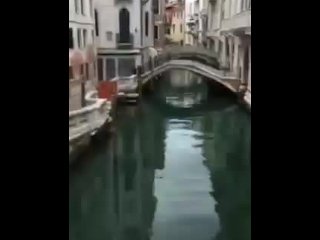 street, italy, vertical video, venezia