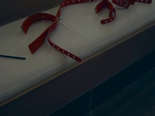XDOMINANT 014 - TIED SLAVEGIRL FUCKED HARD IN HER ASS screenshot number 0