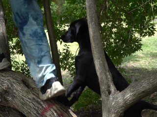 VIDEO DE ESTER DISFRUTA VER PERRA EN EL PARQUE