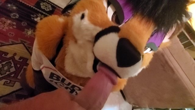 640px x 360px - Furries - Pornhub.com