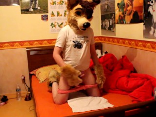 Cute Dingo Showing off and Masturbates for you